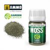 SPANISH MOSS